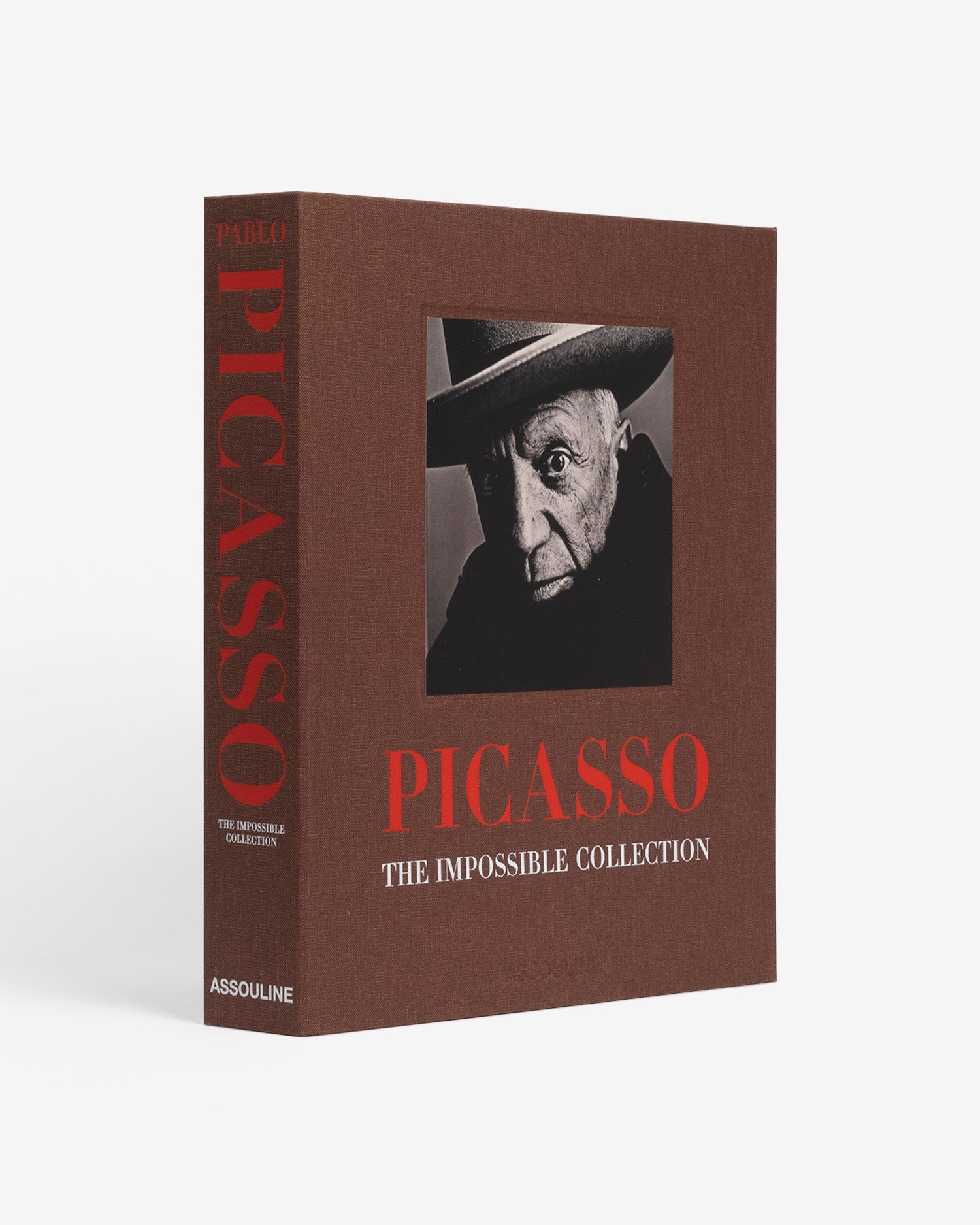 Pablo Picasso: The Impossible Collection